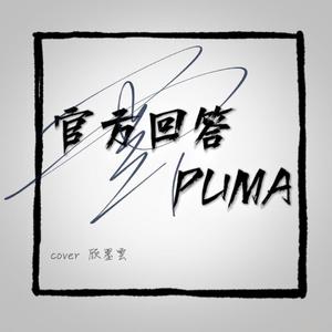 官方回答+PUMA