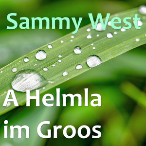 A Helmla im Groos (Radio Version)