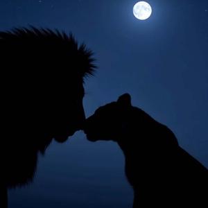 Someone You Loved (Afro Soul)