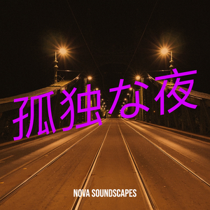 孤独な夜