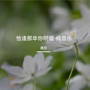 恰逢那年你明媚-纯音乐
