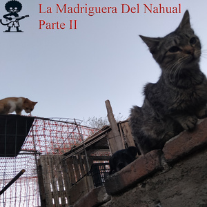 You Never Say Anything (Instrumental Version)