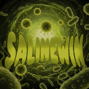 SALINEWIN
