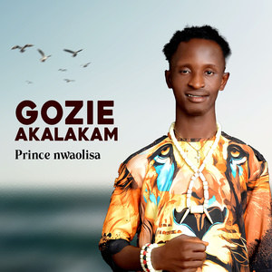 Gozie akalakam