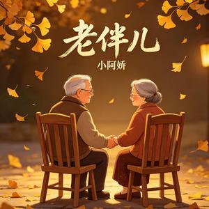老伴儿