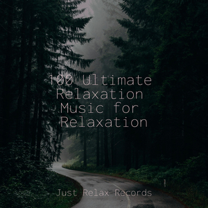 Enchanting Moonlit Affair