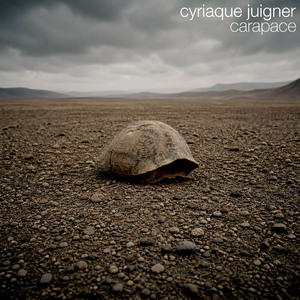 Carapace