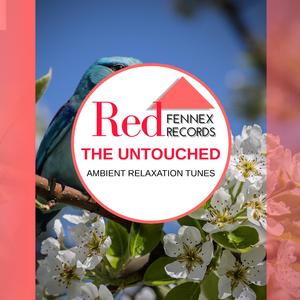 Meditation In Arabian Desserts