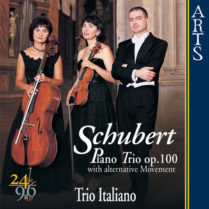 Piano Trio In E Flat Major Op. 100 D 929: I. Allegro