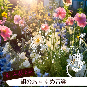 Morning Serenity in Motion