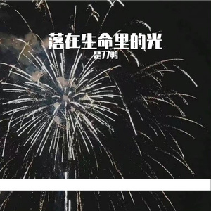 落在生命里的光