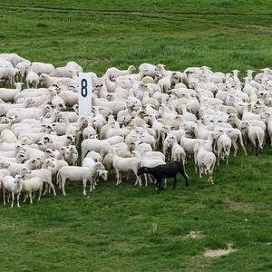 Funcionários do Mês