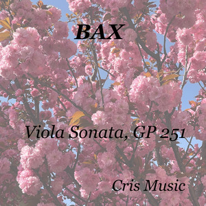 Bax: Viola Sonata, GP 251, 3. Molto lento