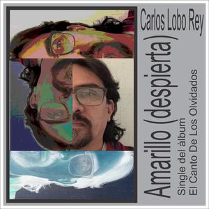 Amarillo (Despierta)