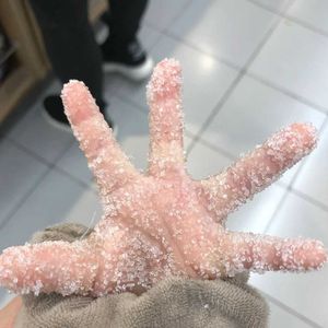 小提琴变装 (纯音乐)