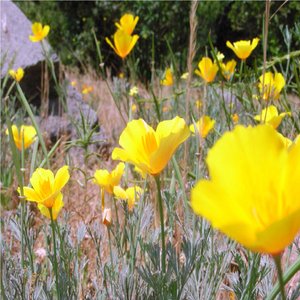 My Personal Story of Darkness to Light