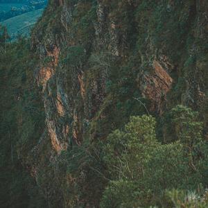 Serendipity's Embrace