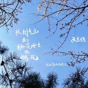 松树先生和桃花女士的婚礼