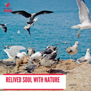 Welcome Summer with Insect Music