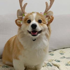 姬和不如