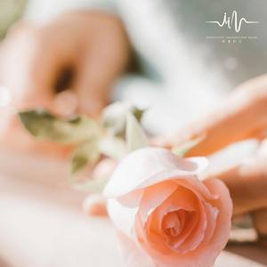 童年梦想 (极致放松钢琴曲)