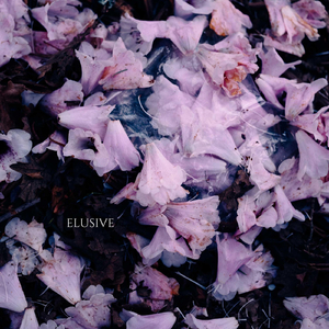 Elusive
