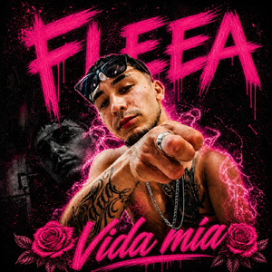 Vida mia