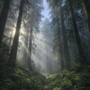 did it really happen?