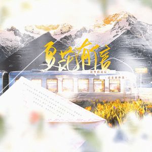 夏花有信【博君一肖2026版】