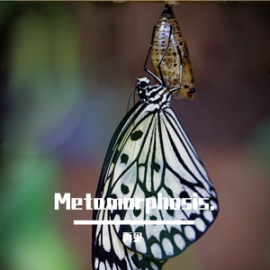 Metamorphosis