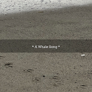 Waking Up To Ocean Sounds