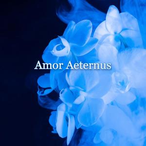 Amor Aeternus