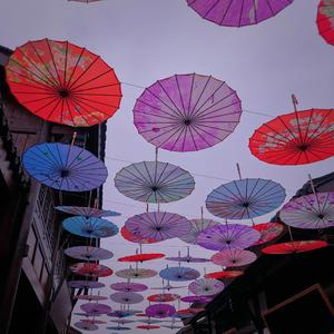 前程如花，繁花似锦 伴奏