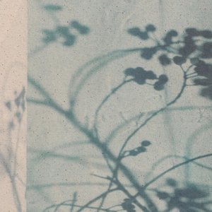 吕梦江(弦乐版)cover