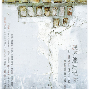 我不能忘记你【剧情版】