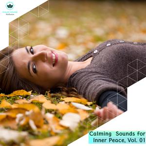 Guided Meditation Session