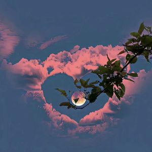 你和我的猫（cover：颜人中）