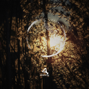 Iron Sunset (Original Mix)