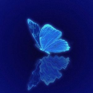 整个冬天都是你