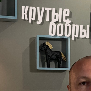 Крутые бобры