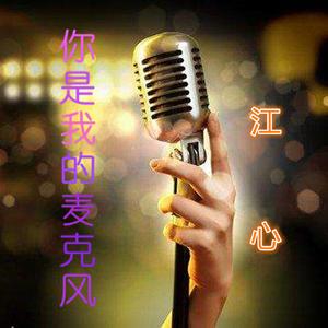 你是我的麦克风