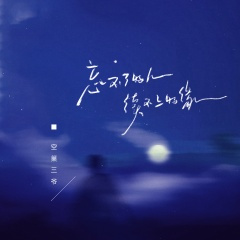 忘不了的人续不上的缘