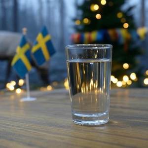 En Snapsvisa För Sverige (Dance version)