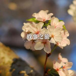 故事之旅 学习刷题专用