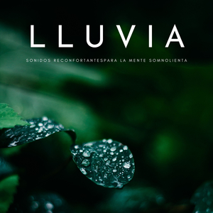 Pensamientos Sedantes