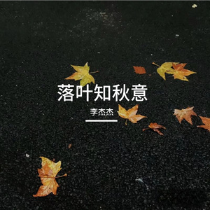 落叶知秋意