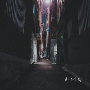 비대칭