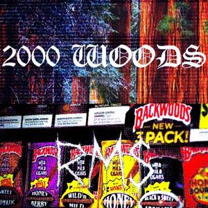 2000 Woods (feat. RM$Sosanami)