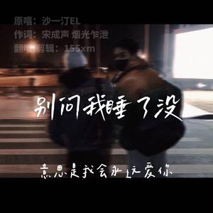 沙一汀EL-别问我睡了没（155xm remix）