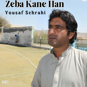 Zeba Kane Han
